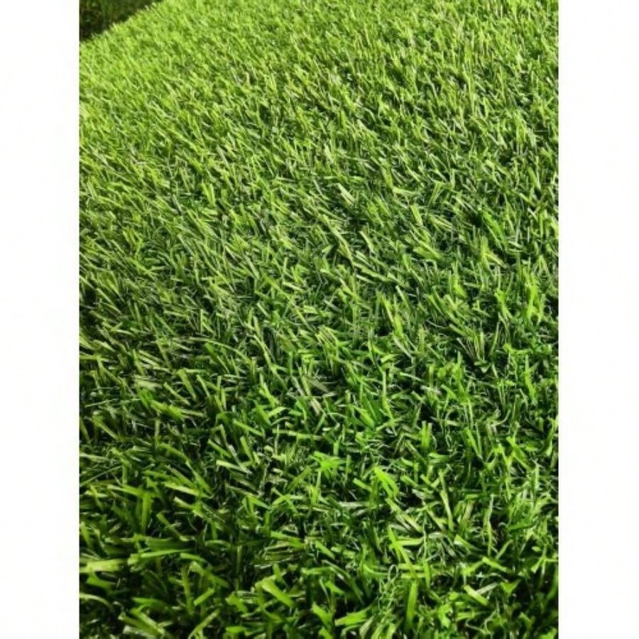 3FT *32FT Artificial turf, professional dog large turf outdoor carpet terrace pet lawn, artificial carpet with drainage holesGrass height 0.78 inches/2cm
