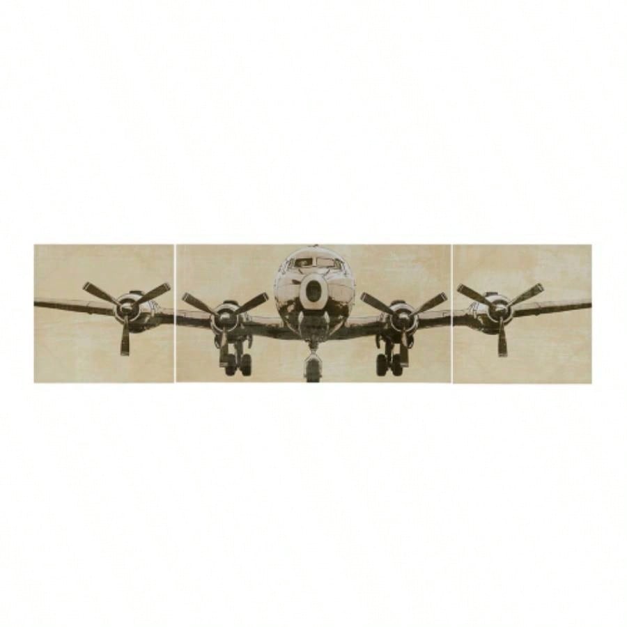 Triptych 3 - piece Canvas Wall Art Set