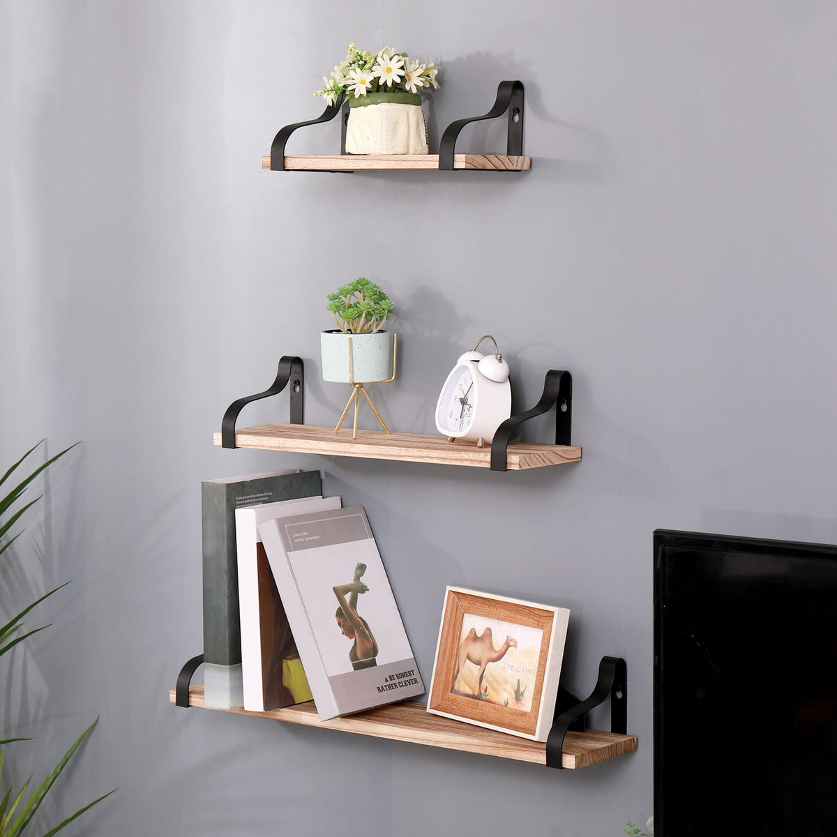 Floating Shelves Set of 3 - Natural Wood Wall Mounted Display Shelves