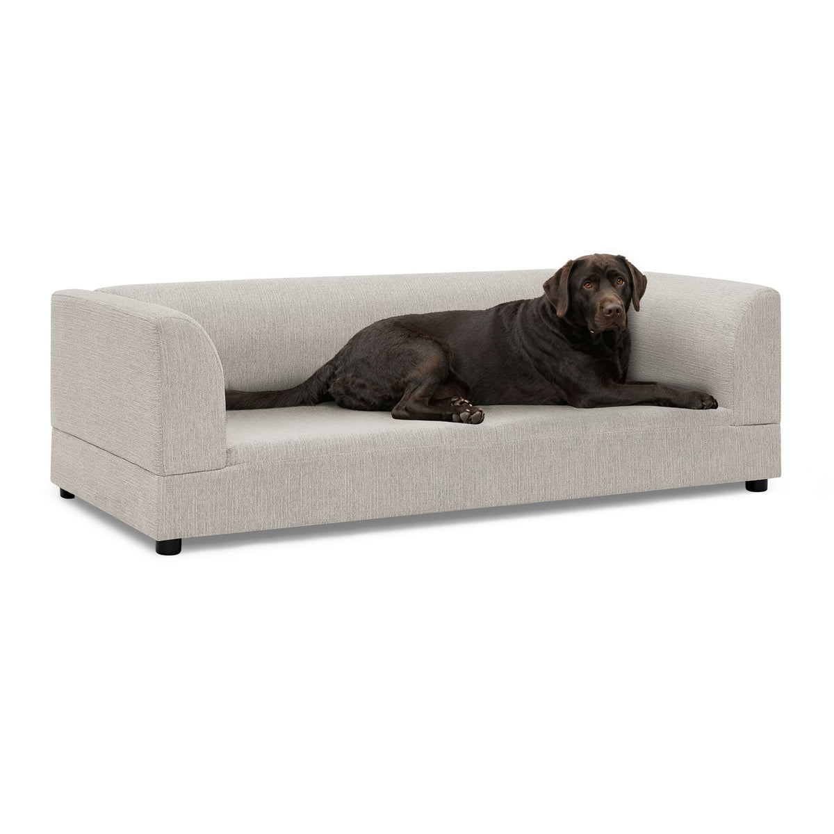 56.5" Beige Foam Dog Sofa for Medium Large Dogs with Backrest