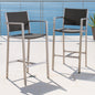 Outdoor 29.50" Rust-Proof Aluminum Barstools with PE Rattan Seat and Backrest, Set of 2, Silver & Grey