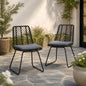 DEJA CHAIR,2PCS with 2 Cushions,Gray