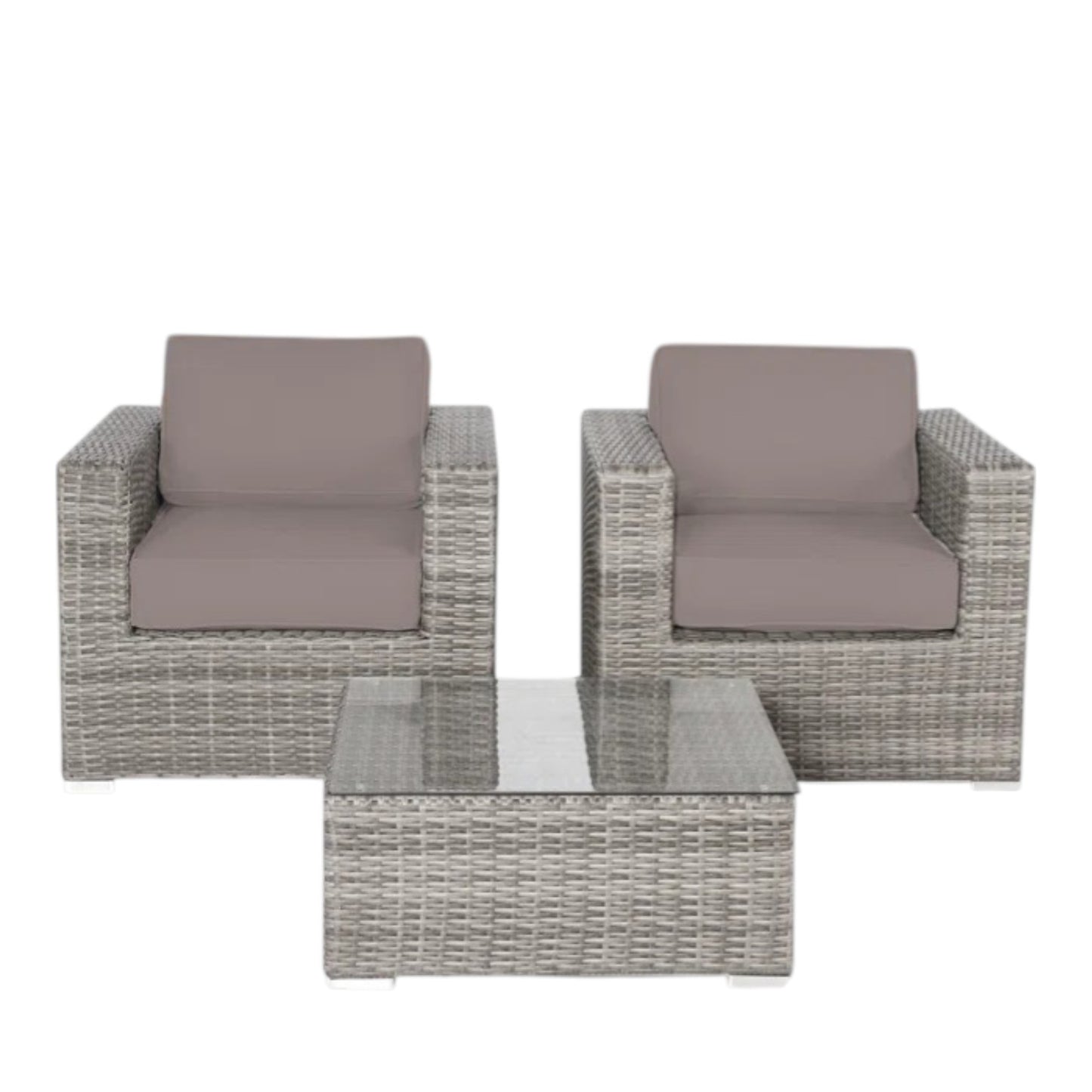 Rattan Wicker Fully Assembled 2 - Person Seating Group with Cushions