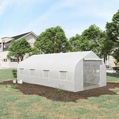 White Steel Walk-in Greenhouse for Garden Plant Nursery and Outdoor Growing