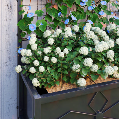 Black Steel Raised Garden Bed with Trellis - Outdoor Planter Box