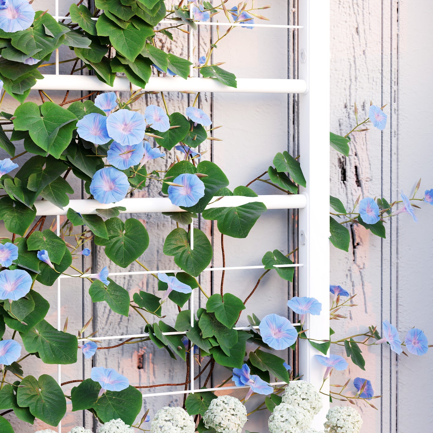 White Steel Raised Garden Bed with Trellis - 35.4"L