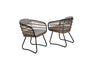 Outdoor Wicker Dining Chairs Set of 2, Patio Dining Chairs with Cushions, Rattan Dining Armchairs for Lawn, Garden, Poolside, Backyard, Porch, Beige