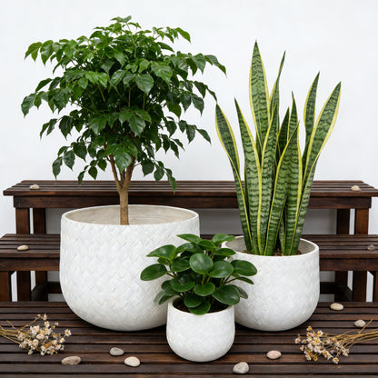 Assorted Sizes Magnesium Oxide Round Planter,21.65''+14.17''+8.66'' Dia Set of 3 Planter,Outdoor Indoor Plant Pot with Drainage Hole, White Color  with Weaving Pattern Planter for Home Garden Patio