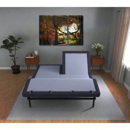 BT3000 Split Top Adjustable Bed Base With and Foot Position Adjustment