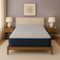 Restonic ComfortCare DreamLux Firm, Twin