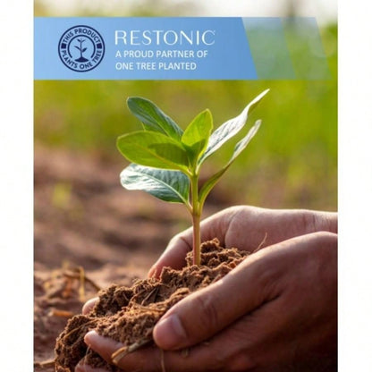 Restonic ComfortCare DreamLux Firm, Twin