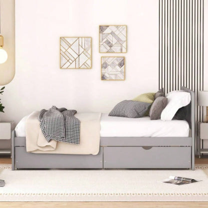 Modern Design Twin Size Platform Bed Frame with 2 Drawers Color