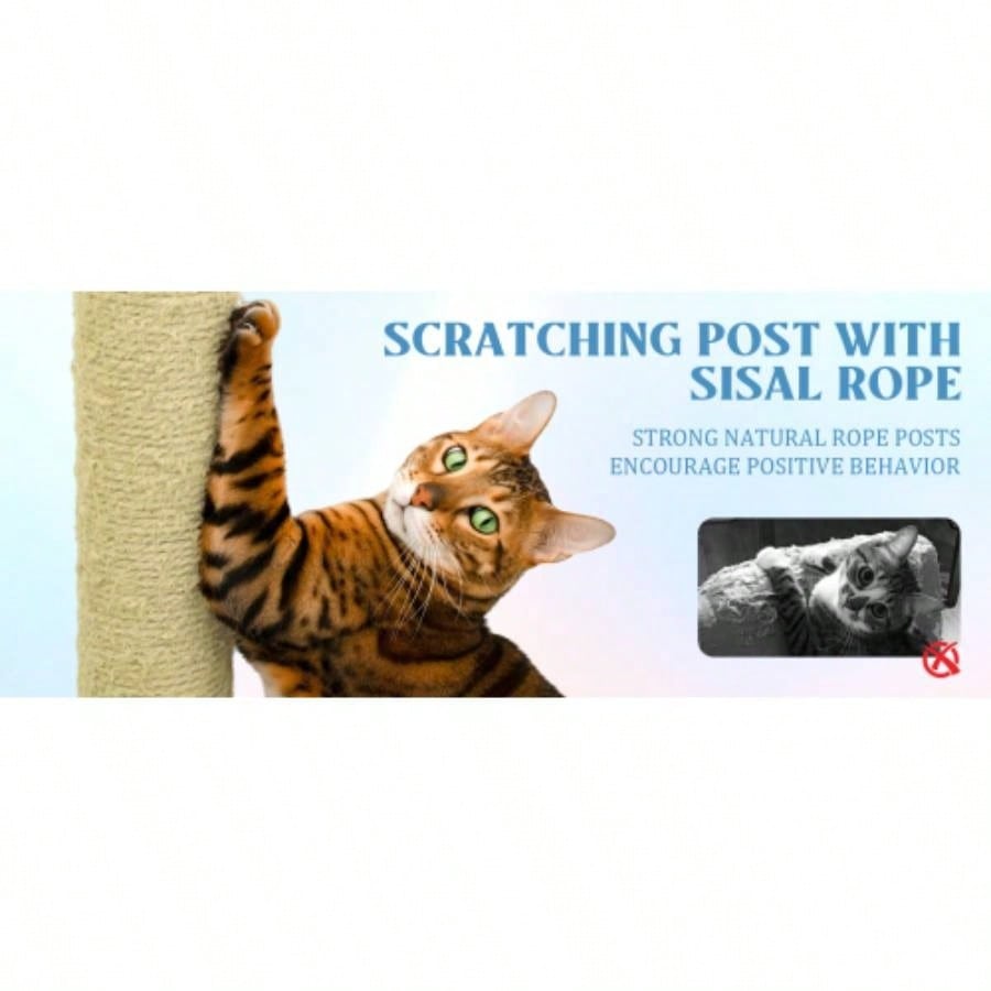 71 inch flower tree with large condo removable flower cushion and hammock blue