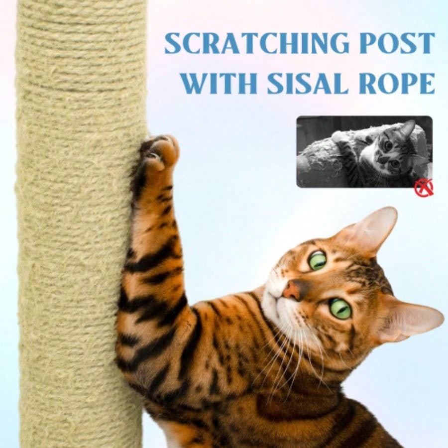 71 inch flower tree with large condo removable flower cushion and hammock blue