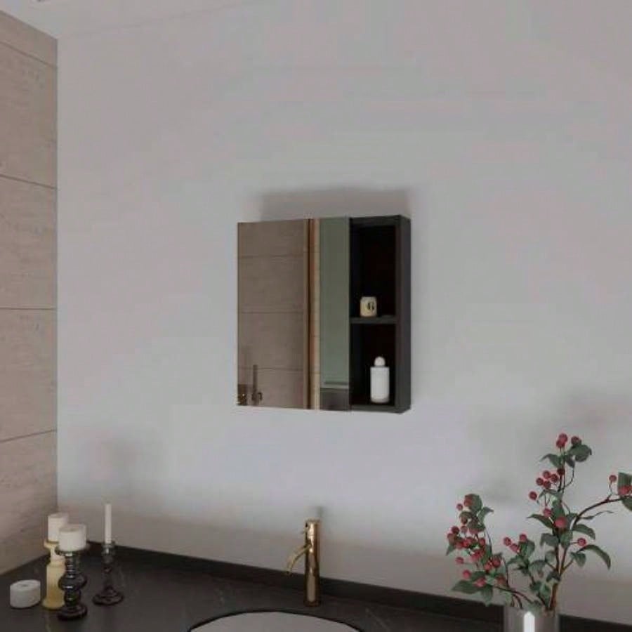 Whirlwind 1 - Shelf Rectangle Medicine Cabinet with Mirror Black Wengue