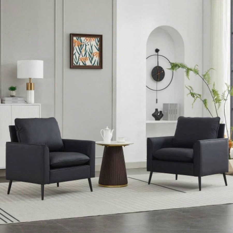 TS paw leather upholstered sofa 2PC black, Nordic retro light luxury living room balcony bedroom single casual sofa chair