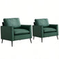 TS paw leather upholstered sofa 2PC black, Nordic retro light luxury living room balcony bedroom single casual sofa chair