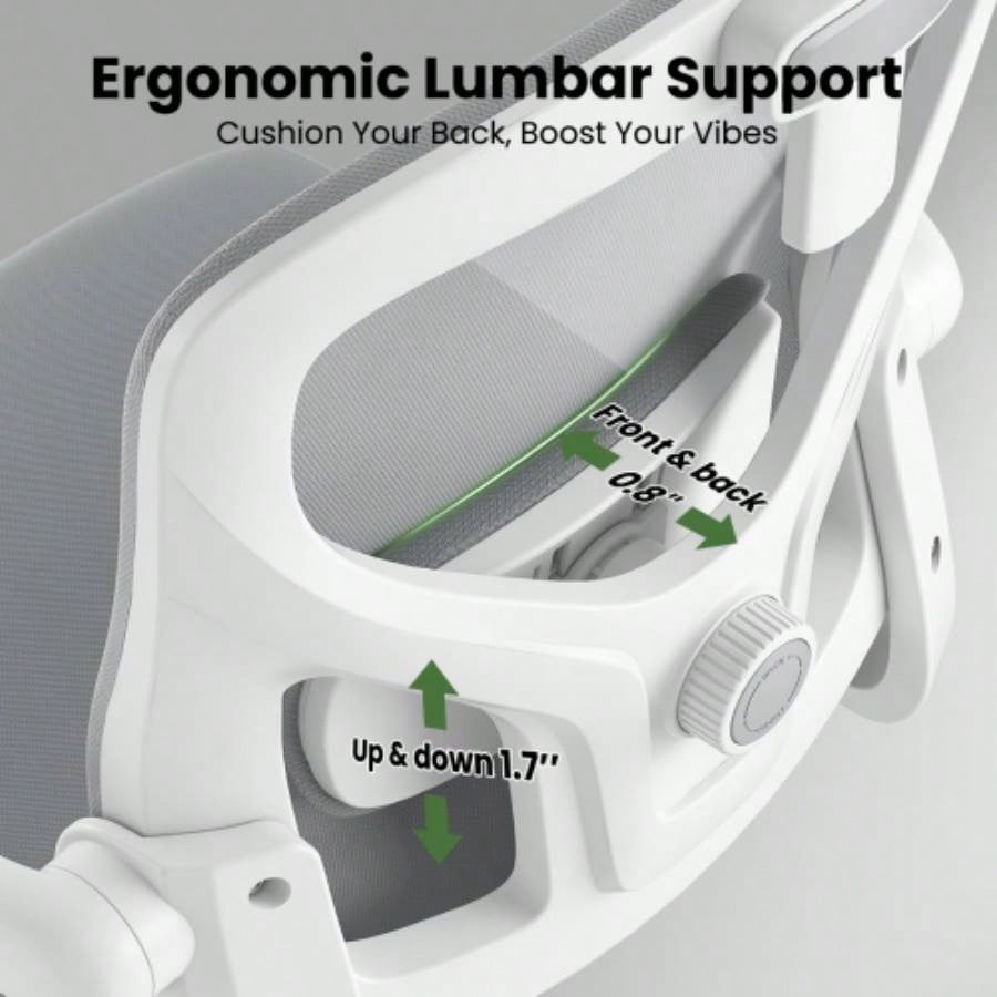 Ergonomic Office Chair, Home Office Desk Chair with Headrest, High Back Computer Chair with Armrests and Adjustable Lumbar Support Home Office Study Room, White Gray