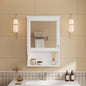 20 Wall Mounted Bathroom Storage Cabinet with Mirror, Wall Mounted Home Storage with Door, Mirrored Wall Medicine Cabinet