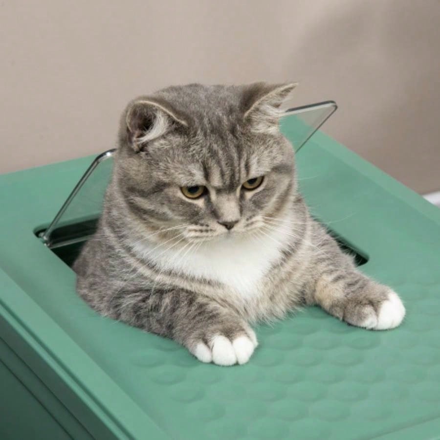 PawHut Fully Enclosed Litter Box with Scoop, Hooded Litter House with Drawer Type Tray, Foldable Smell Proof Potty with Front Entry, Top Exit, Portable Pet Toilet with Large Space, Green