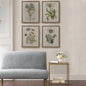 4 - piece Botanical Illustration Framed Canvas Wall Art Set