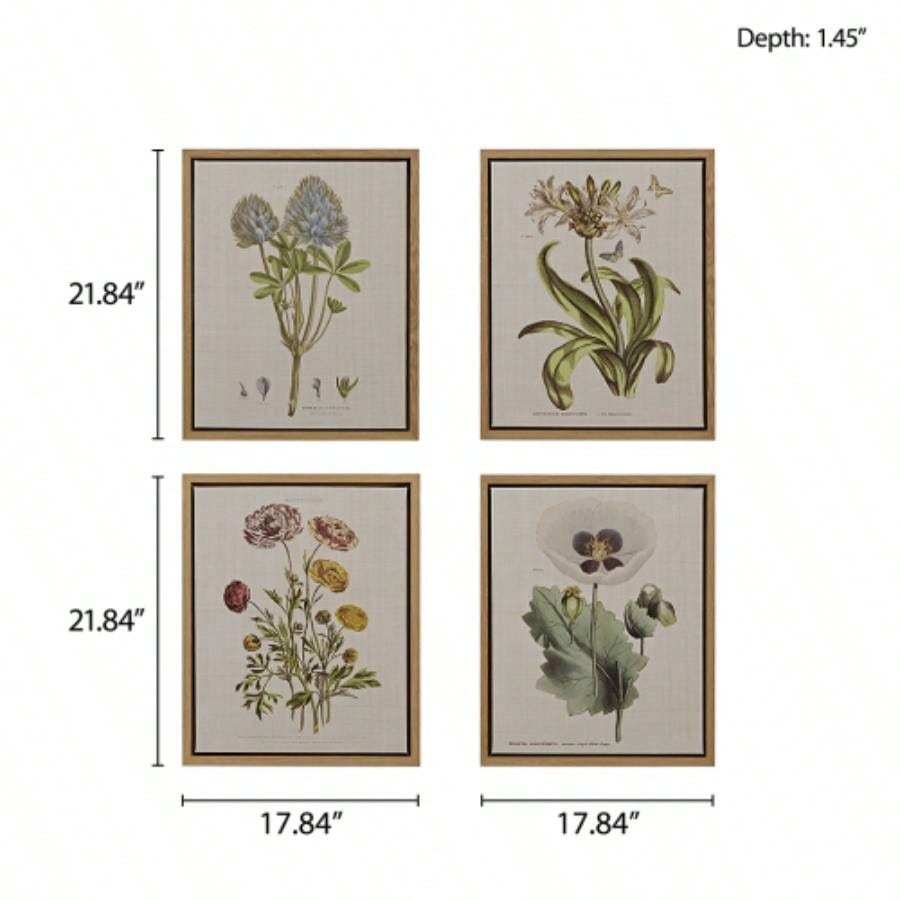 4 - piece Botanical Illustration Framed Canvas Wall Art Set