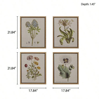4 - piece Botanical Illustration Framed Canvas Wall Art Set