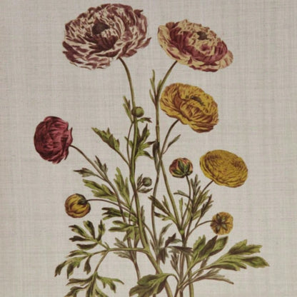 4 - piece Botanical Illustration Framed Canvas Wall Art Set