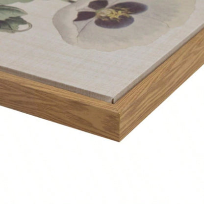 4 - piece Botanical Illustration Framed Canvas Wall Art Set