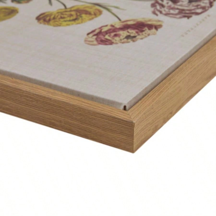 4 - piece Botanical Illustration Framed Canvas Wall Art Set