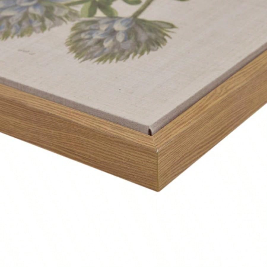 4 - piece Botanical Illustration Framed Canvas Wall Art Set