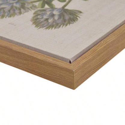 4 - piece Botanical Illustration Framed Canvas Wall Art Set