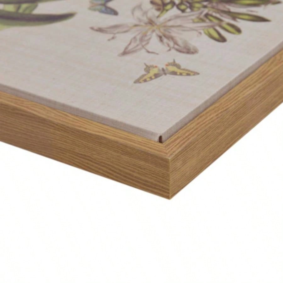 4 - piece Botanical Illustration Framed Canvas Wall Art Set