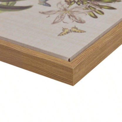 4 - piece Botanical Illustration Framed Canvas Wall Art Set