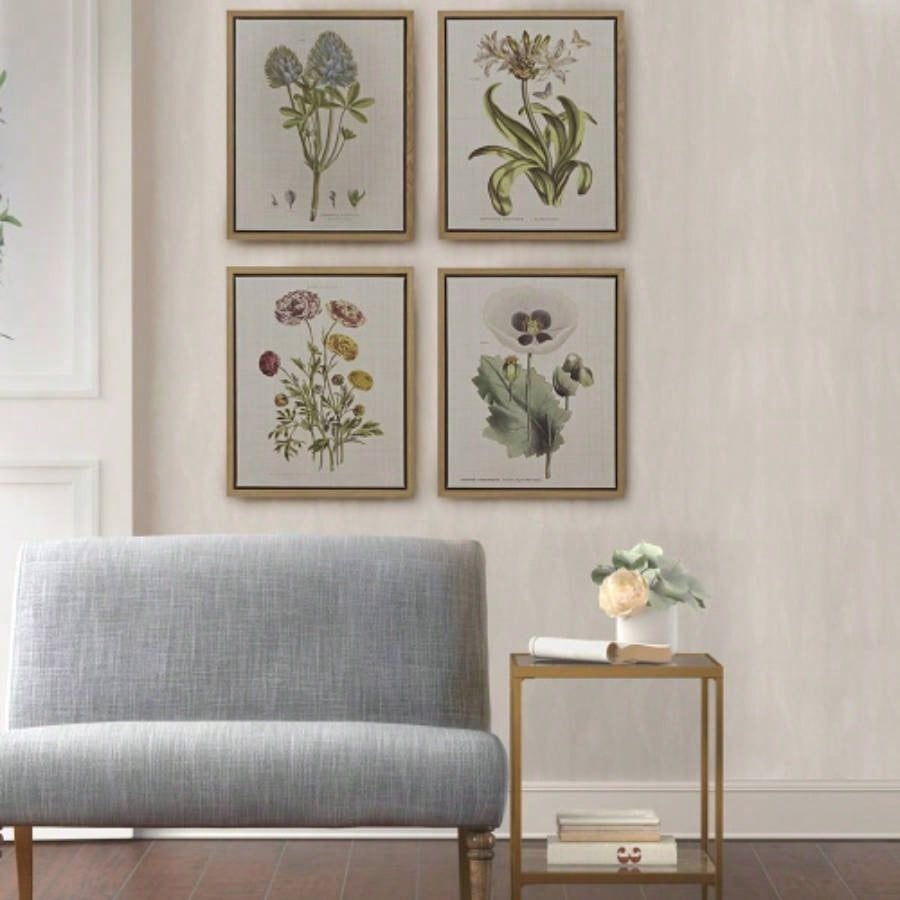 4 - piece Botanical Illustration Framed Canvas Wall Art Set