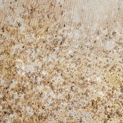 Heavily Embellished 2 - piece Canvas Wall Art Set