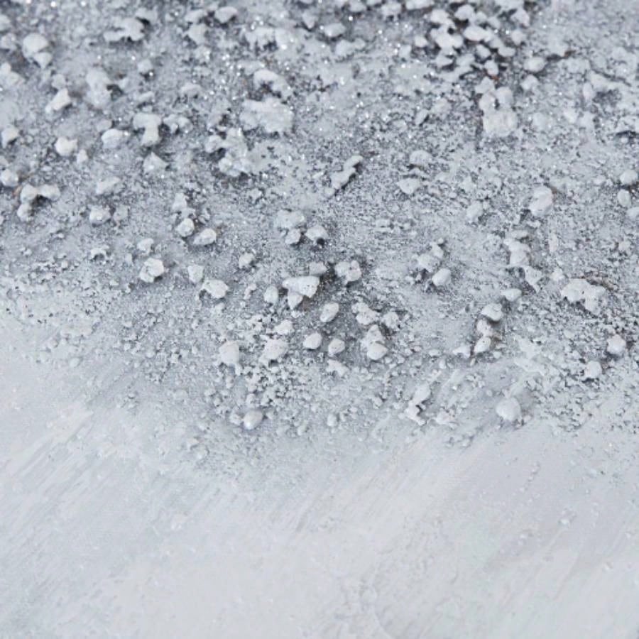 Heavily Embellished 2 - piece Canvas Wall Art Set