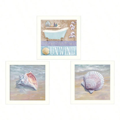 Shells 3 - Piece Vignette By Mollie B. and G. Janisse, Printed Wall Art, Ready To Hang Framed Poster, White Frame