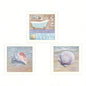 Shells 3 - Piece Vignette By Mollie B. and G. Janisse, Printed Wall Art, Ready To Hang Framed Poster, White Frame