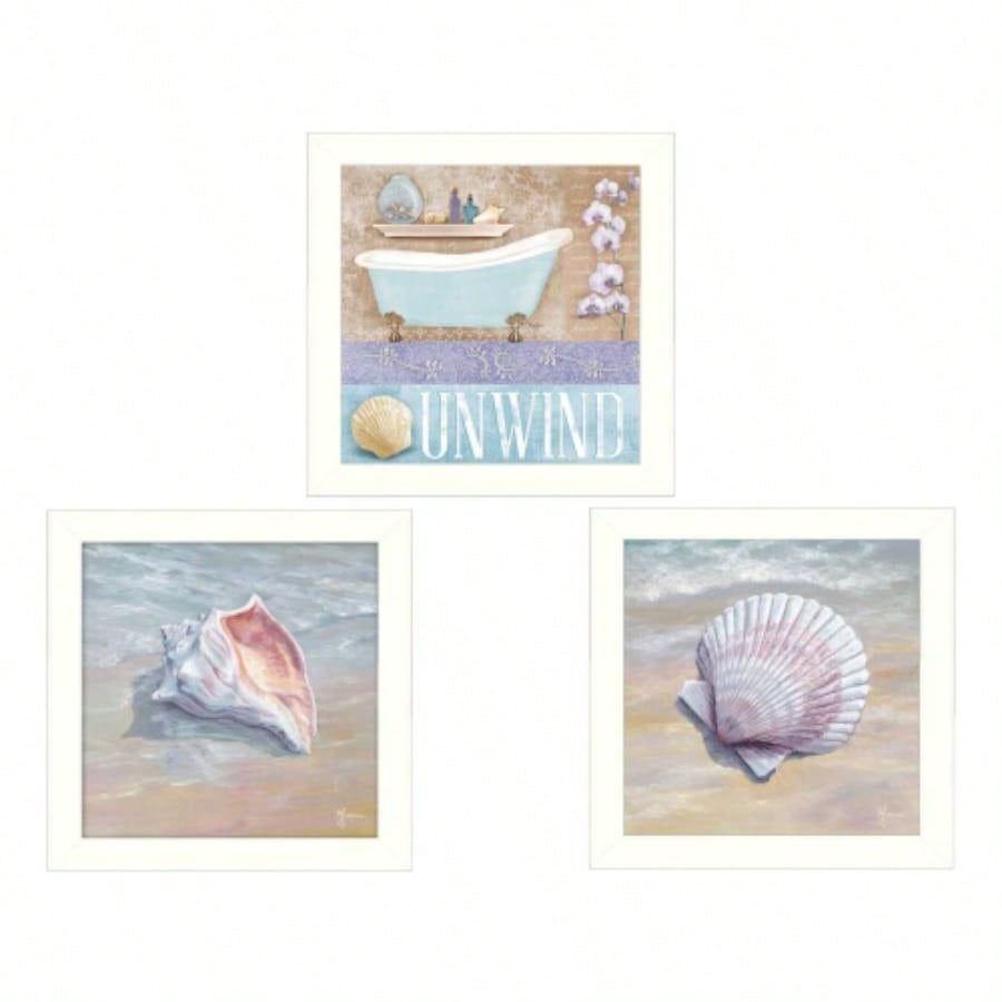 Shells 3 - Piece Vignette By Mollie B. and G. Janisse, Printed Wall Art, Ready To Hang Framed Poster, White Frame