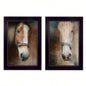Two Horses 2 - Piece Vignette By Robin - Vieira, Printed Wall Art, Ready To Hang Framed Poster, Black Frame