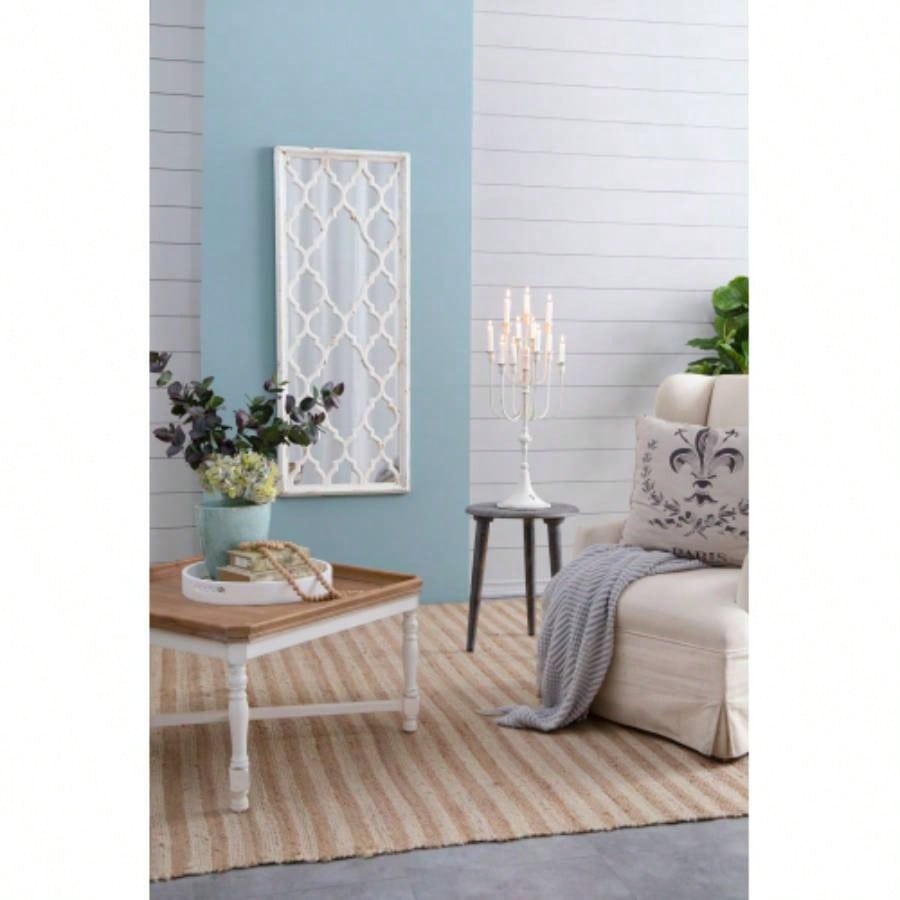 24x 60 Distressed White Floor Mirror, Full Body Mirror Bathroom Bedroom Living Room