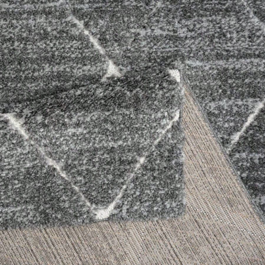 Talas Trellis Area Rug in and