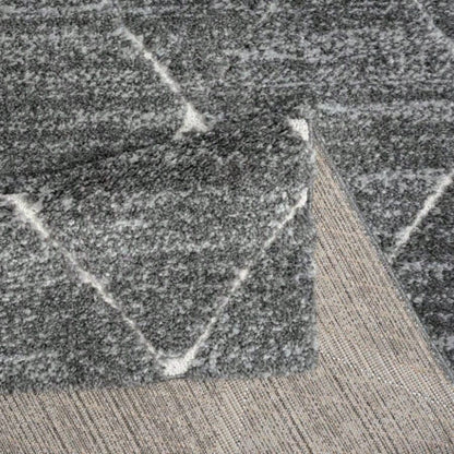 Talas Trellis Area Rug in and