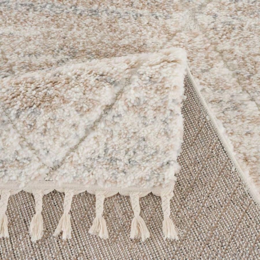 Talas Trellis Area Rug in