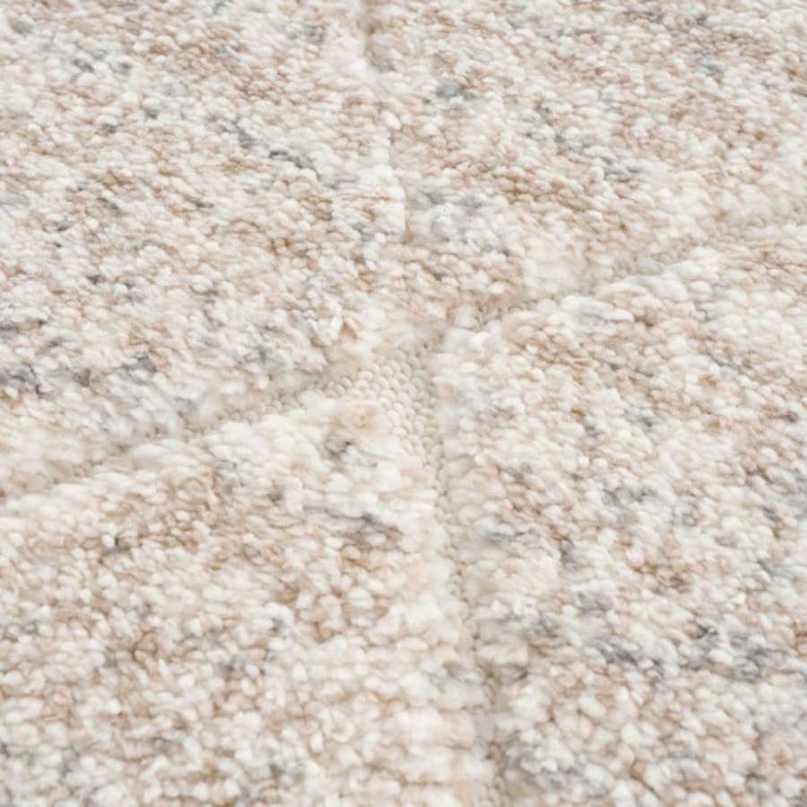 Talas Trellis Area Rug in