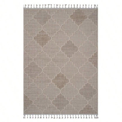 NAAR Guros 6X9/ Trellis Indoor/ Outdoor Area Rug
