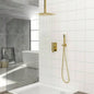Dual Shower - 12 Inch Ceiling Mount Square Shower System with Rough - in,