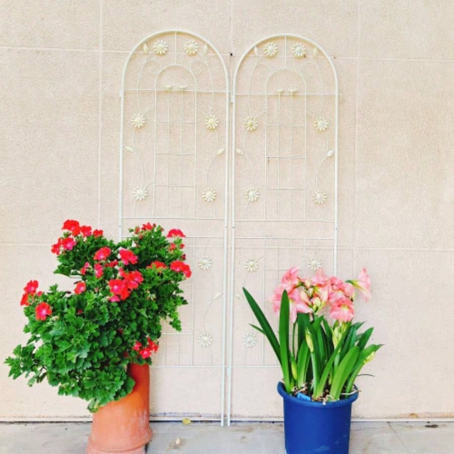 4 Pack Metal Garden Trellis 71x 19. Rustproof Trellis Climbing Plants Outdoor Flower Support White