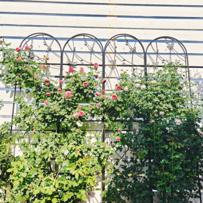 4 Pack Metal Garden Trellis 86. 19. Rustproof Trellis Climbing Plants Outdoor Flower Support Dragonfly Deco Black